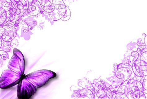 Purple Butterfly Wallpaper Image Wallpapers Hd