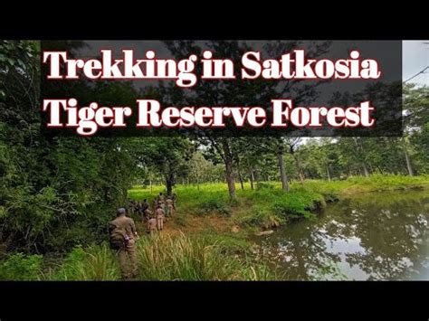 Trekking In Satkosia Tiger Reserve Forest Shivjeet Singh Rfo