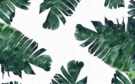 38 Aesthetic Green Pc Wallpapers On Wallpapersafari