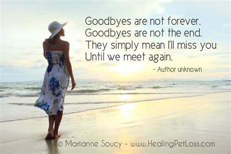 Rate this quote:(4.00 / 4 votes). This Is Not Goodbye Quotes. QuotesGram
