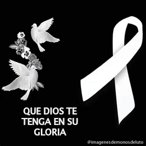 Imágenes De Moño De Luto Blanco Descansa En Paz Condolence Messages