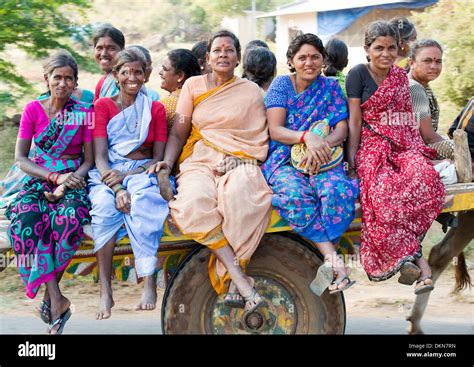 Rural Indian Village Women Traveling On A Bullock Cart In The Indian Countryside Andhra Pradesh