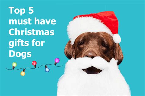 With hundreds of unusual westie gift ideas you're sure to find the perfect west highland terrier gift right here. Top 5 must have Christmas gifts for Dogs - Blue Wheelers