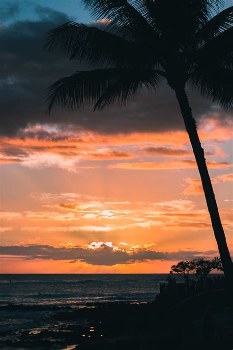 Hawaiian Sunset 1080p 2k 4k 5k Hd Wallpapers Free Download