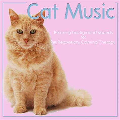 Cat Music Relaxing Background Sounds For Pet Relaxation Calming