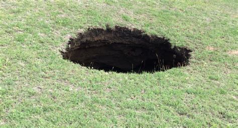 A Sinkhole Took Our Yard Thats Life Magazine
