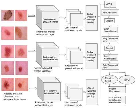 Pdf Classification Of Skin Cancer Images Using Tensor
