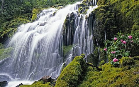 Beautiful Waterfalls Nature Wallpaper Windows 7