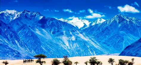 Nubra Valley Discover Leh Ladakh