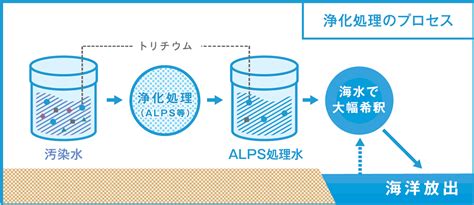 福島第一原発処理水の海洋放出ALPS処理水の安全性は確認されています お知らせ ニュース 自由民主党