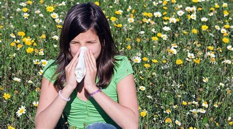 Tree Pollen Allergy Season Underway