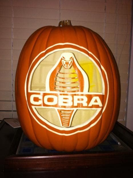 Shelby Pumpkins Club Cobra