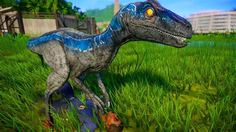 Blue Vs Indoraptor Breakout And Fight Jurassic World Evolution