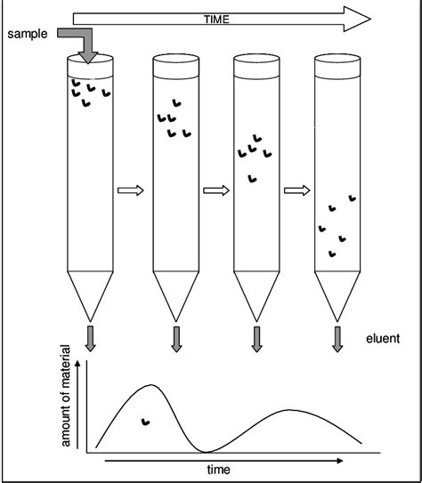 Basic Scheme Of Ion Exchange Chromatography Download Scientific Diagram