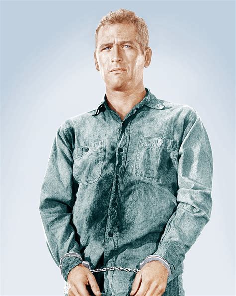 Your privacy is important to us. Cool Hand Luke, Paul Newman, 1967 Photograph by Everett