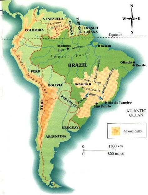 Brazilian Rainforest Map