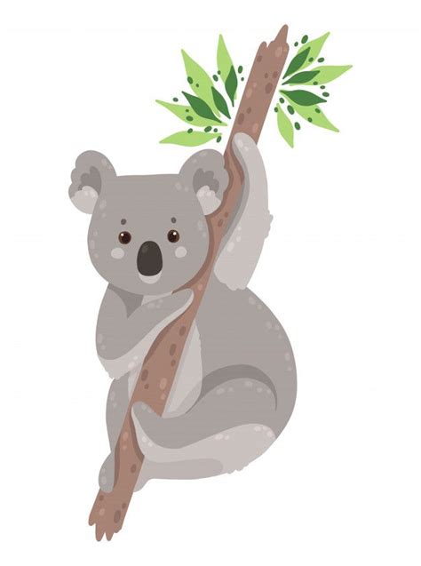 Cute Koala Bear Isolated Premium Vector Premium Vector Freepik