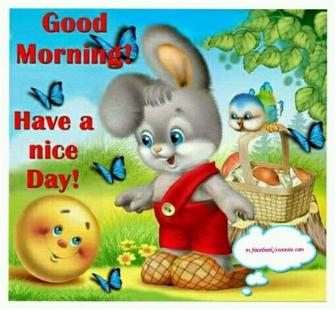 Happy Bunny Good Morning Greeting Pictures Photos And Images For