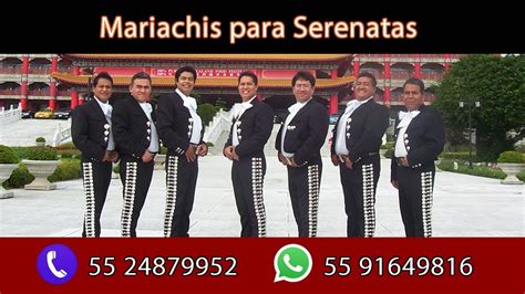 Mariachis Para Serenatas T 55 24588938 Wsp 55 10701101 Serenatas