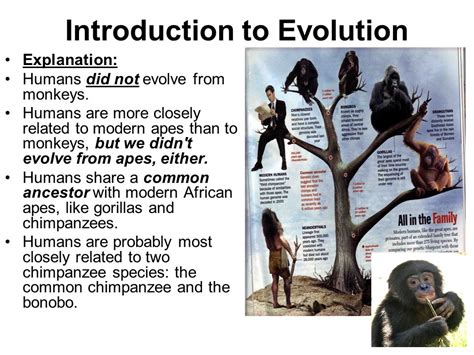 Introduction To Evolution Ppt Video Online Download