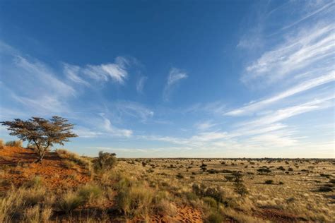 The vast northern cape, the largest and most dispersed of south africa's provinces, is not an easy region to tackle as a visitor. Quality Assured » Northern Cape