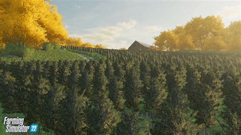 Fs22 First Look At The New Crops V10 Fs22 Mods