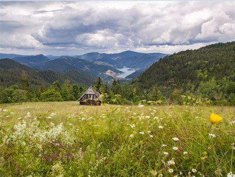 Potražite među naših 2 563 380 objekata, na više od 85.000 destinacija. Putokaz - Nacionalni park Tara