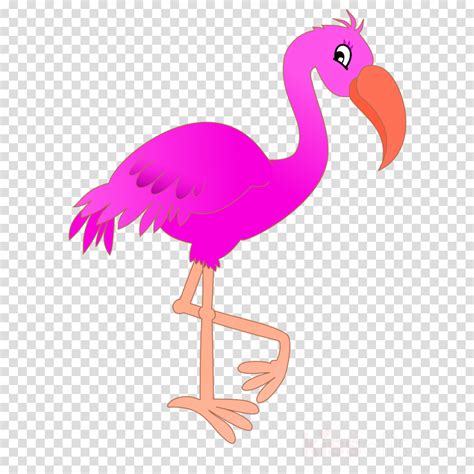 Flamingo Bird Chicken Transparent Png Image Clipart Free Download