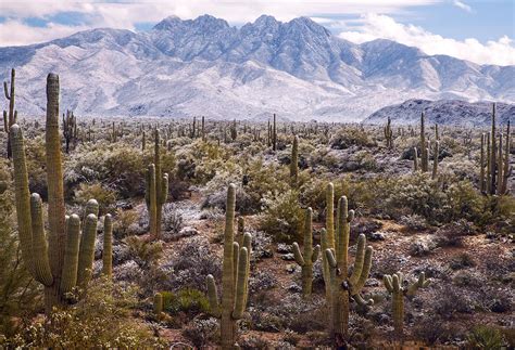 Four Peaks Snowstorm Photograph By Dave Dilli Pixels