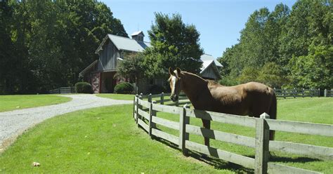 Multi Acre Mini Farms Appeal To Horse Lovers Newcomers