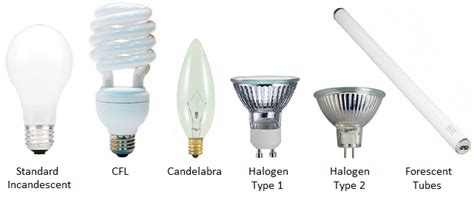 Learn About All The Different Types Of Light Bulbs Available And What