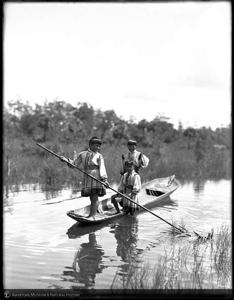 Three Seminole Boys In Canoe The Everglades Florida 1910 Seminole