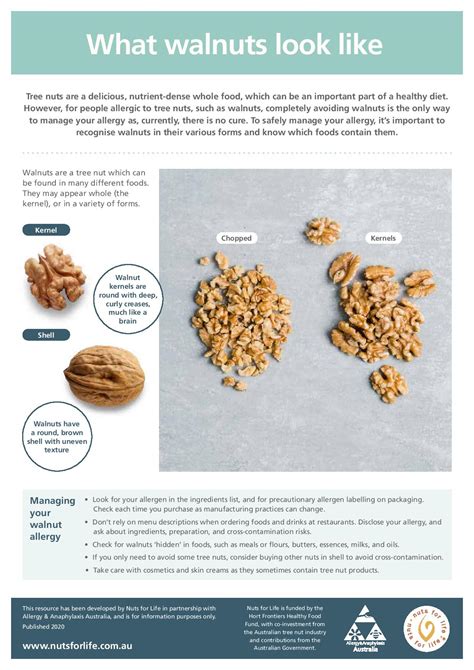 Managing Your Allergy Fact Sheets Nuts For Life Australian Nuts For