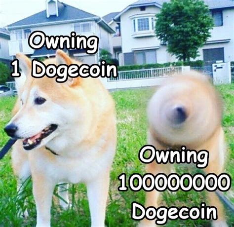 Dogecoin Hodl 20 Dogecoin Ideas Doge Meme Doge Cryptocurrency I