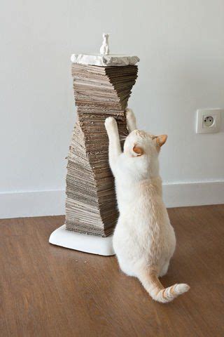 I loved the fact that the dull grater was. Cat Scratching Post | Cat scratching post, Cat scratching ...