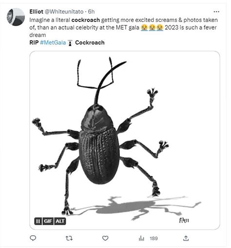 Rip To The Met Gala Cockroach Twitter Mourns As Critter Dies Viral Buzz Philippines