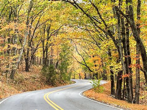 Photo Gallery: Canopied Color in and around Bent Tree – PickensProgress.com