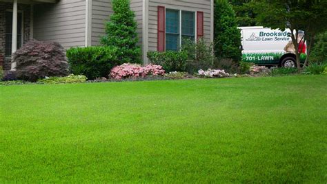 Why Fertilize Your Lawn Brookside Lawn Service