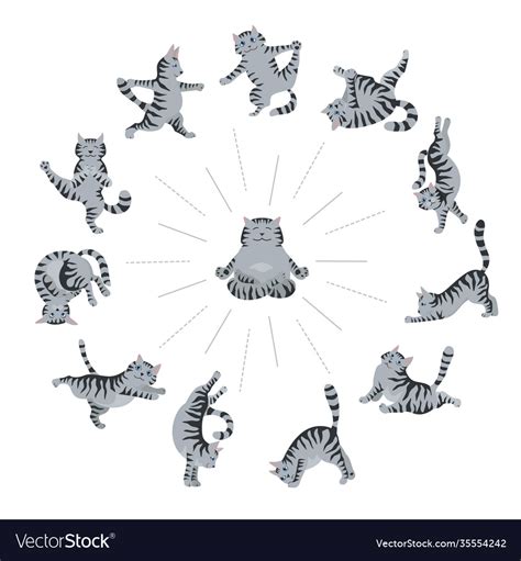 Cats Yoga Different Yoga Poses And Exercises Vector Image