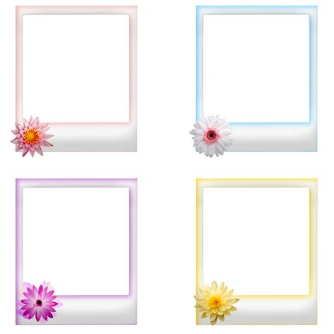 Polaroid Frames Flowers Free Image On Pixabay