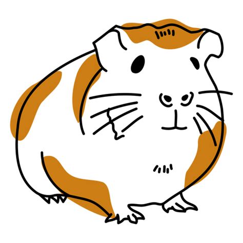 Hamster Png Hd Png Mart