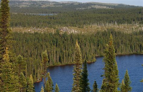 Mid Canada Boreal Plains Forests One Earth