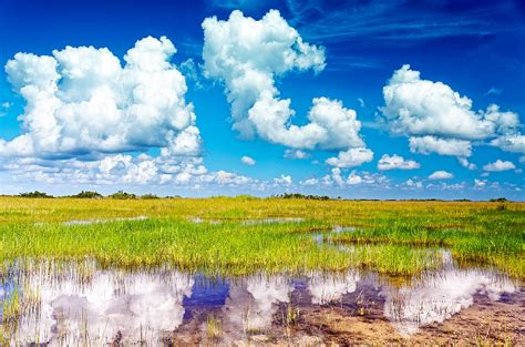 Everglades Landscape With Clouds Reflection Photograph By Rudy Umans