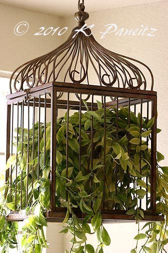 17 Best Images About Bird Cages On Pinterest Love Birds