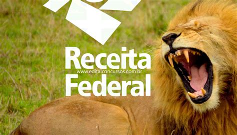 O período para a entrega da declaração do imposto de renda 2021 está a restituição do ir é o valor que muitas pessoas tem direito após enviar a declaração do imposto. Receita Federal apresenta nova informação sobre ...