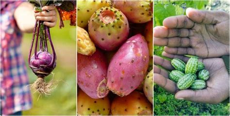 12 Weird And Unusual Fruits And Veggies You Can Grow At Home