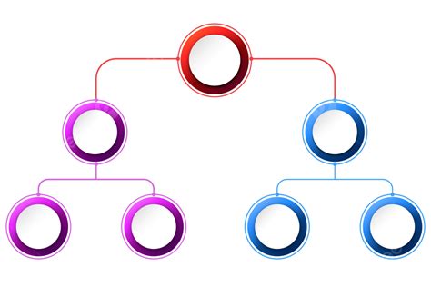 Organigramme De Cercle En Couleur Rouge Violet Et Bleu Png Organisme Structure