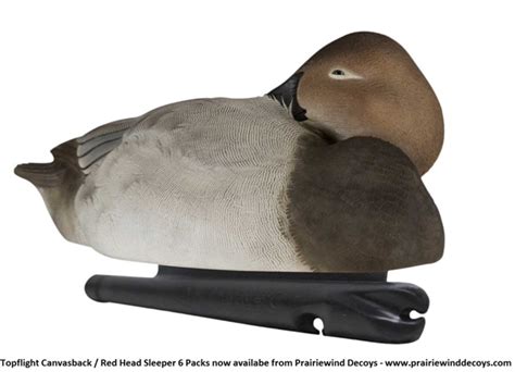 prairiewind decoys free shipping topflight canvasback red head sleeper duck decoy 6pk by
