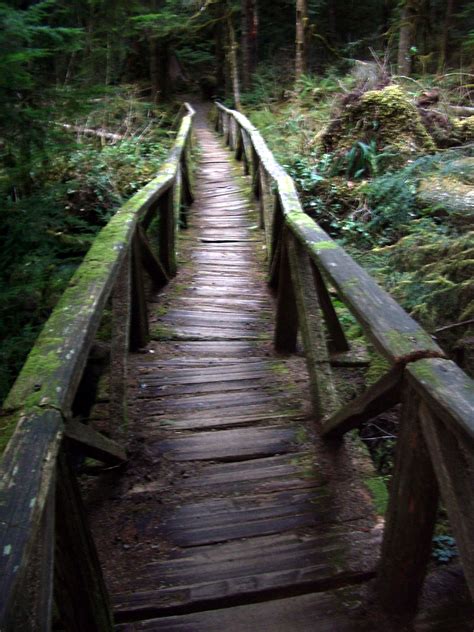 The Path Is There To Take You Where You Want To Go Wooden Bridge