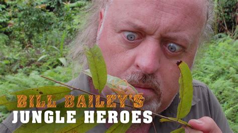 Bill Bailey S Jungle Hero Plex
